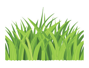 Horizontal border of fresh green grass