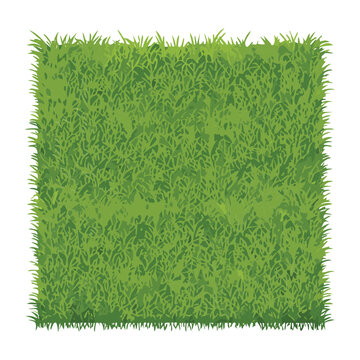Isolated fresh grass texture on a square