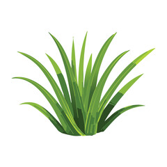 A single tuft of green grass illustration