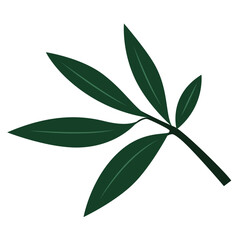 Naklejka premium 2d Botanical flat illustration of a leafy stem with five dark green leaves on white background, minimal vector style. 