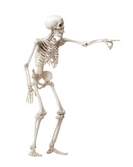 A skeletal figure standing on two legs, pointing to the right with its left hand and holding an object in front of it with its outstretched arm, against a Transparent background PNG