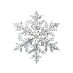 Free snowflake close-up view transparent background