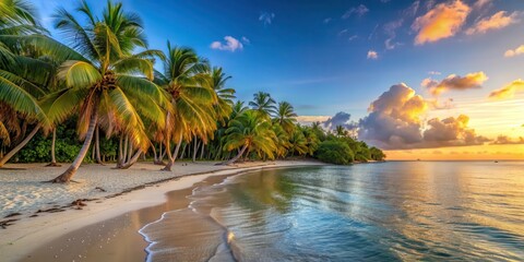 Palm Treelined Beach Sunset With
