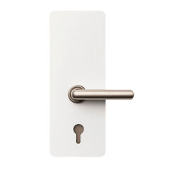 Modern metallic door handle with sleek design mounted on white rectangular backplate, featuring keyhole at bottom