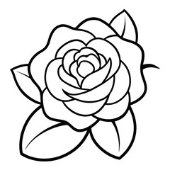 vector illustration of rose