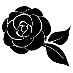 vector illustration of rose