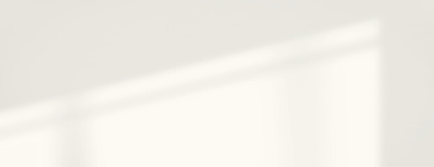 Minimalist shadow background with a soft, off-white background. The background features a smooth texture, creating a serene, off-white ambiance. Minimal soft shadow background vector