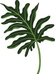 vector illustration of a leaf