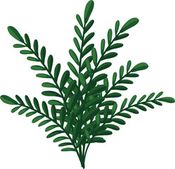 a plant with multiple branches of green leaves