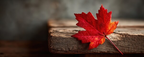 Obraz premium Vibrant Autumn Maple Leaf on Wood