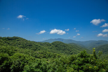 Fototapeta premium 奄美大島の夏の空。湯湾岳。