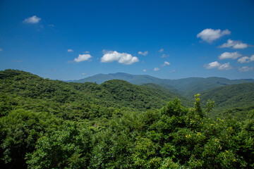Obraz premium 奄美大島の夏の空。湯湾岳。