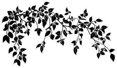 Bougainvillea vine silhouette border decoration