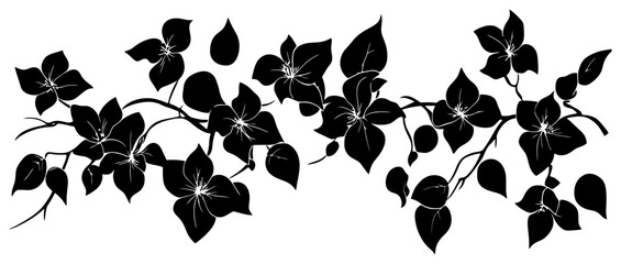 Silhouette of Bougainvillea vine border decoration