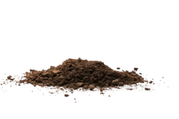 Image Processing Complete