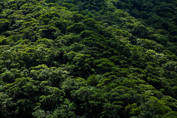 奄美大島の夏の空。