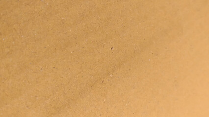 Brown color paper shown grain details on  it surface. texture hard paper sheet. Beige recycled eco carton paper.