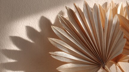 Earth-toned flat lay of dried palm leaf on beige background with natural soft shadows and boho minimal aesthetic