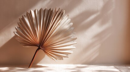 Single dried palm leaf in minimal desert tones casting dramatic shadow on light beige wall for natural decor feel