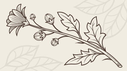 Fototapeta premium Botanical illustration of a flower branch with leaves and buds, perfect for vintagestyle decorations and floral design elements