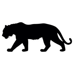 Solid black silhouette of a powerful tiger walking showing its muscular profile and long tail.