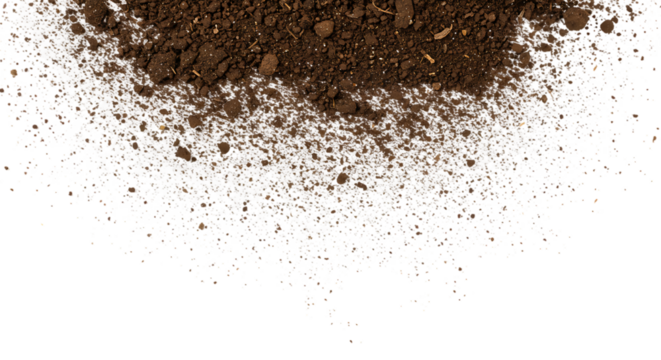 Image Processing Complete