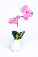 replica pink orchid flower made of plastic on a white background