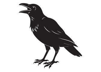 Crow Silhouette Illustration in Black Vector Style Isolated on White Background.