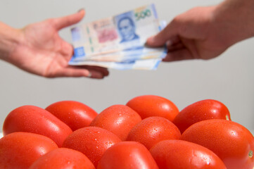 Closing negotiations and sales of fresh red tomatoes, and below against a blurred Person's hand receiving Mexican Peso from another person on a white background 