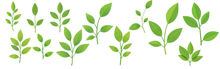 Obraz premium Collection of stylized green leaves on stems, arranged on white background.