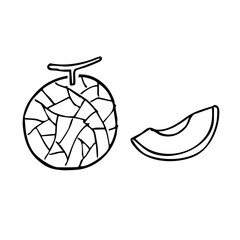メロンのシンプルな線画イラスト
