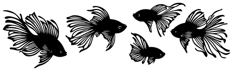 Silhouette of a Betta Fish Group Displaying Fierce Grace