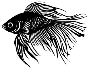  Silhouette of a Lone Betta Fish with Flowing Fins