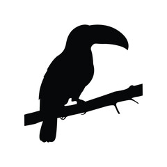 Obraz premium Toucan Perched Silhouette – Tropical Bird Vector Illustration