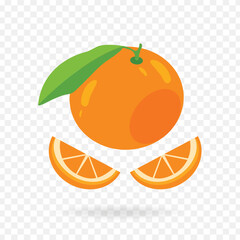 Juicy orange or slice clip art vector illustration on transparent background
