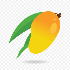 Mango clip art vector illustration on transparent background