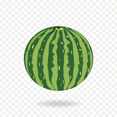 Watermelon clip art vector illustration on transparent background