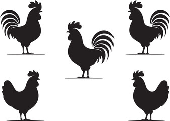 Silhouette of Rooster and chicken hen vector rooster standing on white background