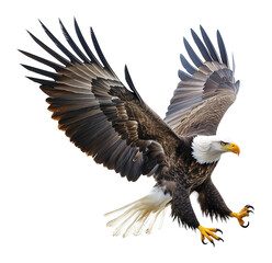 Fototapeta premium American Bald Eagle Attacking with Claws Isolated on Transparent Background PNG 