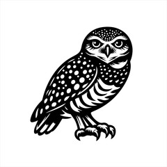 Black And White Spotted Owl Illustration.