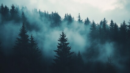 Misty forest silhouettes