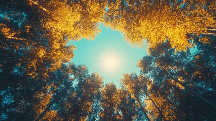 Golden trees framing a vibrant sky