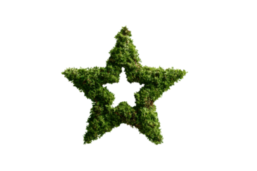 Green foliage star shape against black background plant nature, Isolated On Png Transparent Background