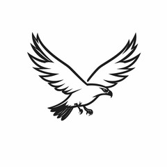 Fototapeta premium Black and White Line Art of a Hawk in Flight, Wings Spread Wide, Talons Extended