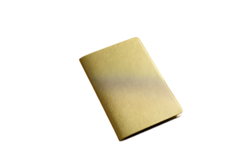 Sleek Gold Metallic Compact Case with a Distinctive Two-Tone Band on Black