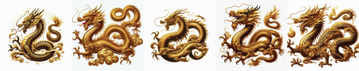 Fototapeta premium GOLDEN DRAGON VECTOR IMAGE WHITE BACKGROUND