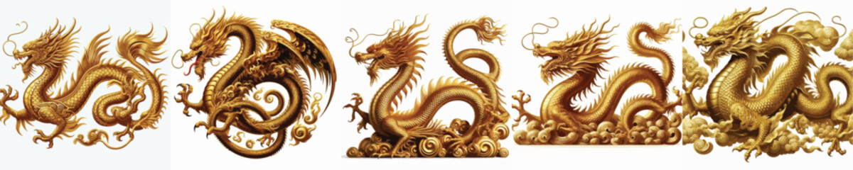 Fototapeta premium GOLDEN DRAGON VECTOR IMAGE WHITE BACKGROUND