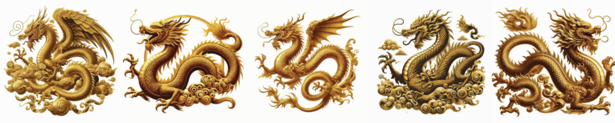 Obraz premium GOLDEN DRAGON VECTOR IMAGE WHITE BACKGROUND