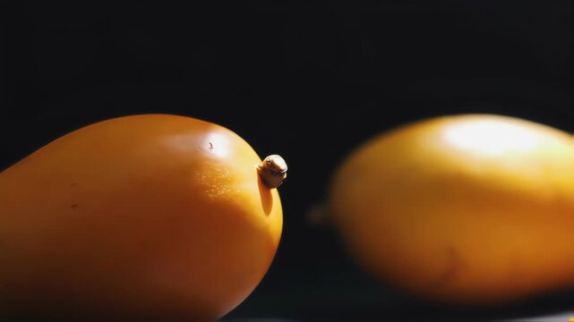 Yellow mango in black background advertisement concept