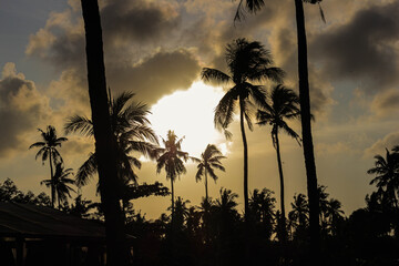 World Tourism Day concept, world coconut day: Silhouettes of coconut trees against the setting sun